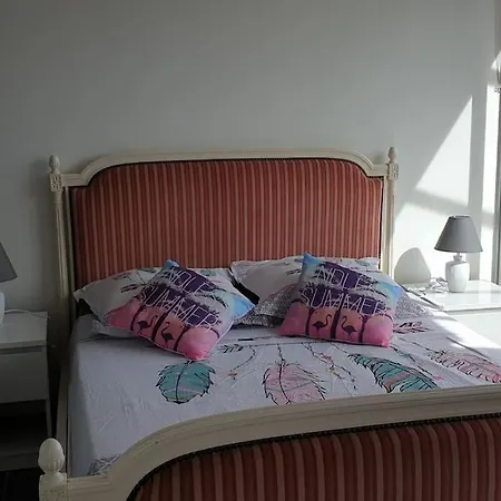 Duplex With Beautiful Sea View شقة Saint-Raphaël